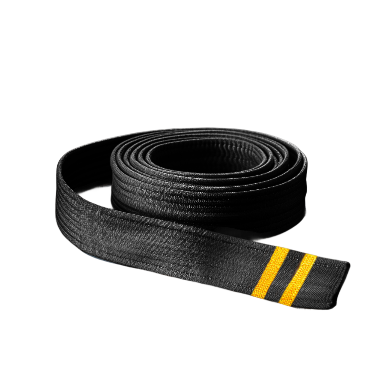 2. dan sort bælte – Nidan 二段